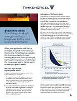 Endurance_REVISED_06_19.pdf